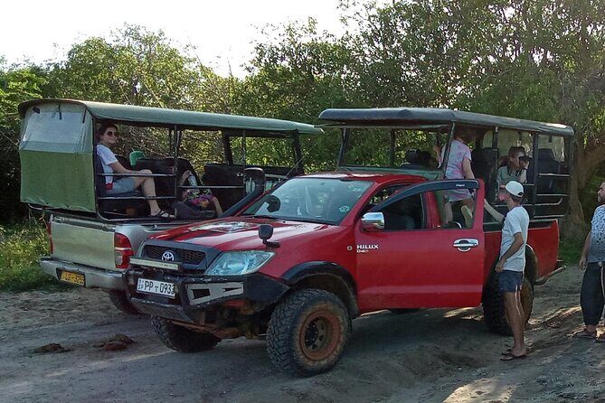 Wilpattu National Park Leopard safari from Colombo/Negambo - Who Will Love This Tour?