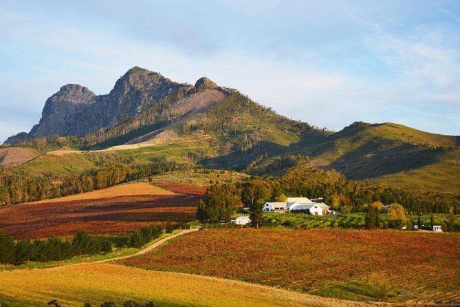 Wine Beer and Biltong Safari - Stellenbosch - A Deep Dive into the Experience