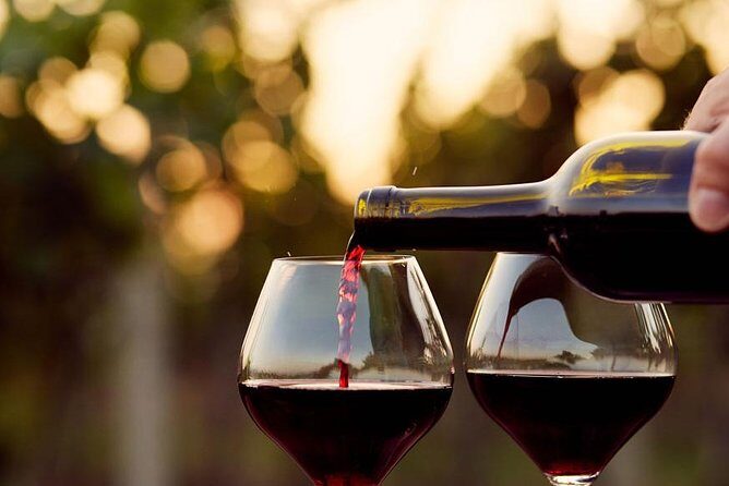 Wine Tasting Tour - What You’ll Love About the Wine Tasting Tour