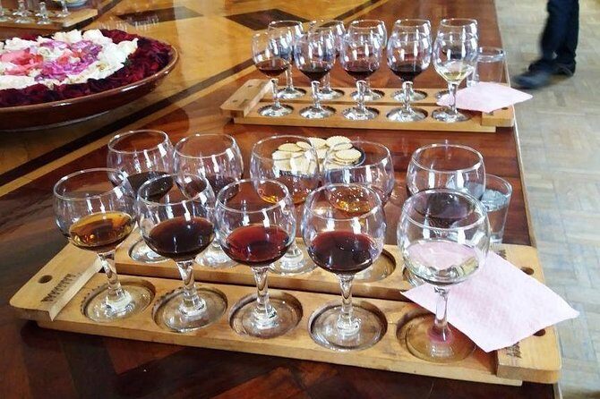 Wine Tasting Tour in Samarkand - What to Expect: A Breakdown of the Experience