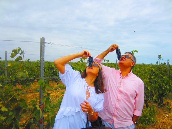 Wine Tour Baku - The Bottom Line