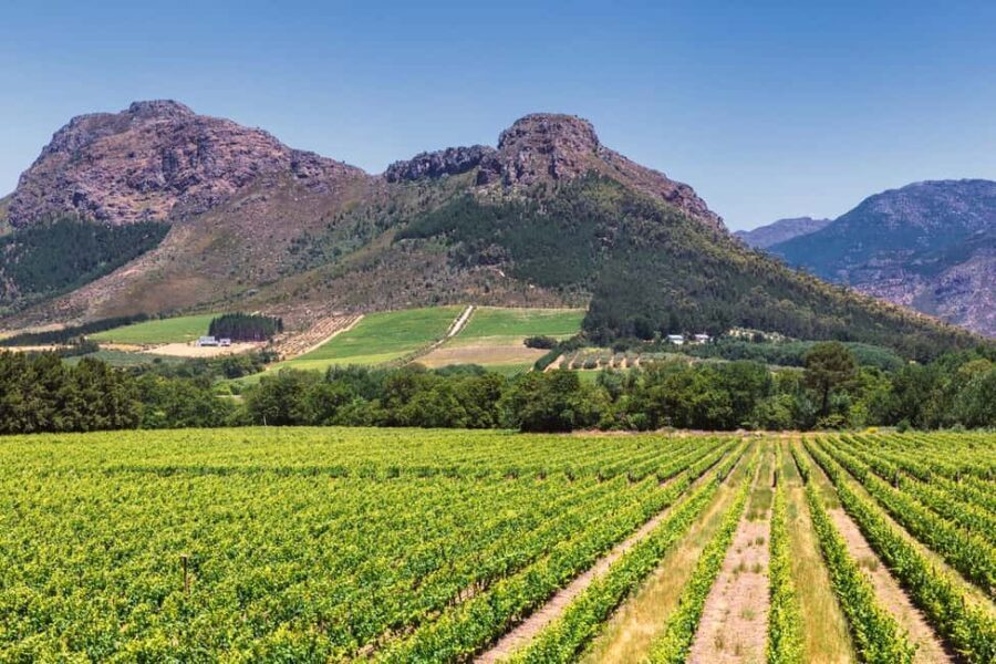 Wineland wonders: Cape Towns exquisite journey - The Value of the Tour