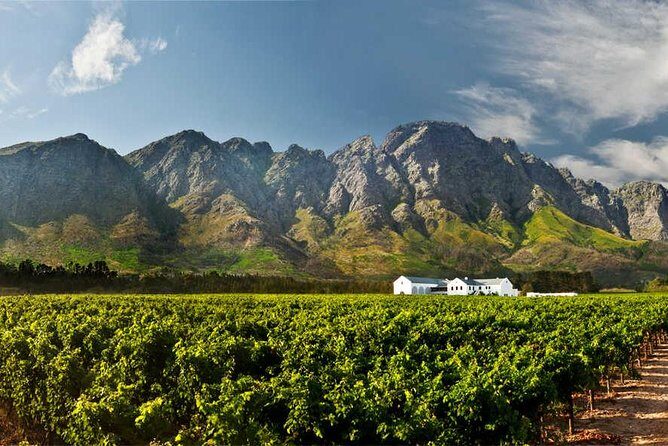 Winelands Full Day Tour - The Value of the Experience