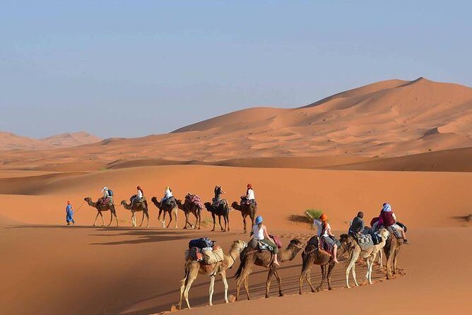 Wonderful Desert Tour From Fes To Merzouga 1 Night 2 Days - Authentic Experiences and Traveler Feedback