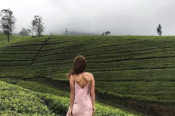 Wonderful Srilankan 14 Days Tours - FAQ