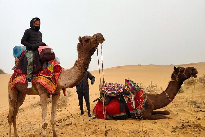 Wonderlust Desert & Camel Safari with Rumi Caravan of Thar Desert - Authentic Experiences That Shine