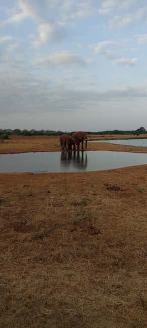 World war 1 Battlefield Tourism Experience in Kenya - Reenactments and Living History