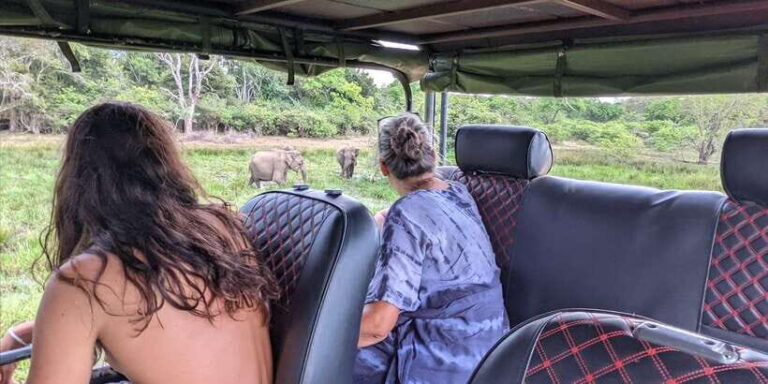 Yala National Park : Full Day Safari(04:30-18:00) - A Detailed Look at the Safari Experience