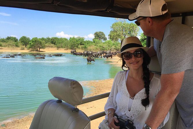 Yala Safari Day Trip from Bentota/ Kalutara/ Ahungalla/ Hikkaduwa - Kitchen and Comfort: Meals & Transportation