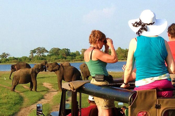 Yala Safari Tour from Hambantota Port (Shore Excursion) - A Thorough Look at the Yala Safari Tour