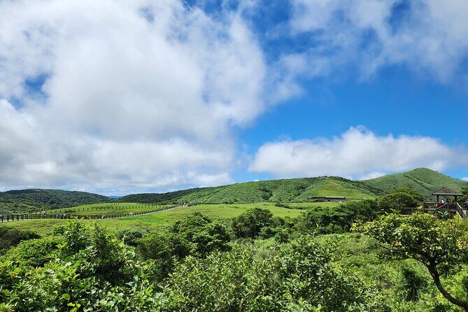 Yamingshan Volcano, Beitou Thermal Valley, Danshui Private Tour - The Experience of a Skilled Guide