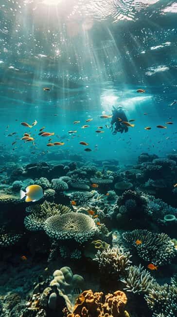 Yanbu: Beach Diving Experience with Instructor