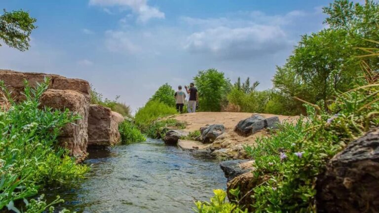 Yanbu: Guided Tour in The City of Springs - The Practical Side: What to Expect