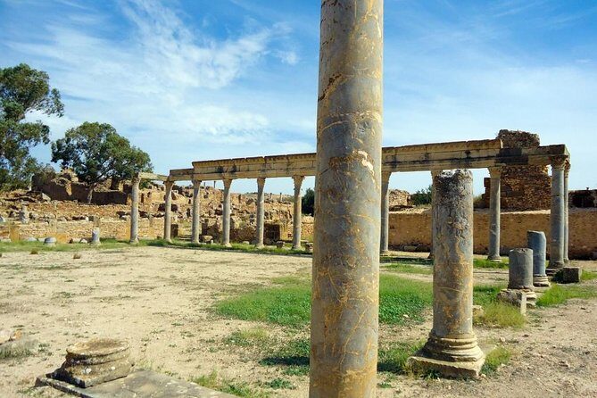 Zaghouan, Thuburbo Majus and Dougga Private Self-Guided Excursion from Hammamet - Overview of the Tour Experience