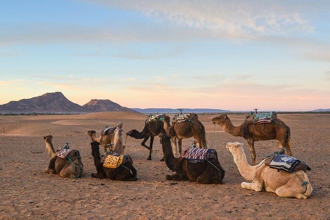 Zagora Desert and Draa Valley 2-Day Low Cost Group Tour - What the Experience Feels Like