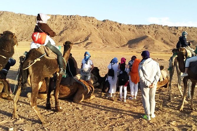Zagora Desert Highlights: Guided 2-Day Tour from Marrakech - Pricing and Value