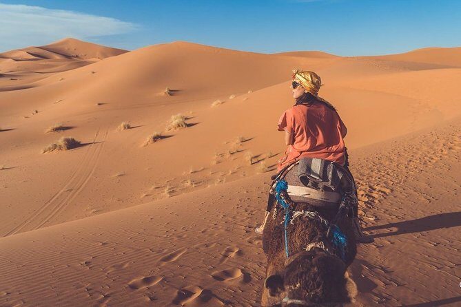 Zagora Desert Tour 1 night&2 days from Marrakech - How Does It Value as a Trip?