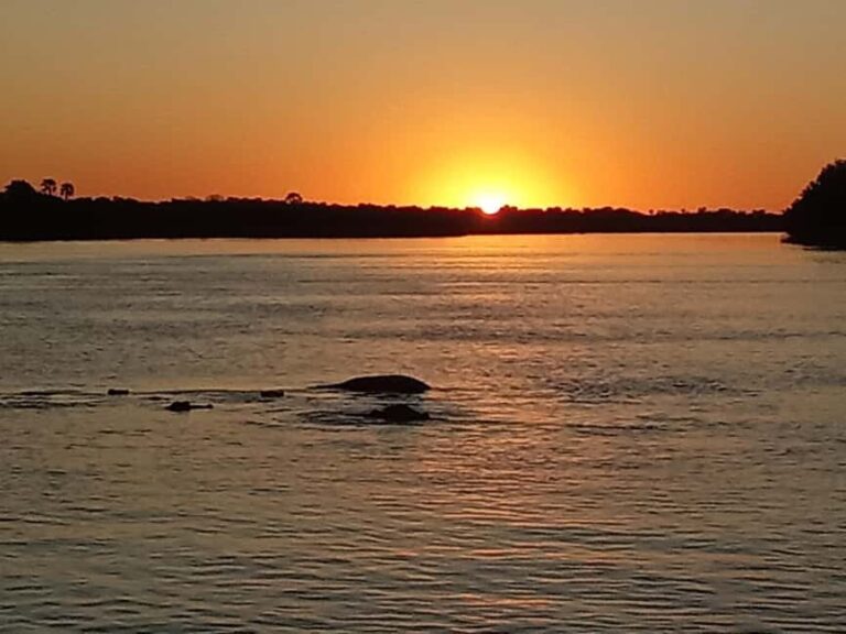 Zambezi Sunset Boat Cruise - Why You Might Love This Experience