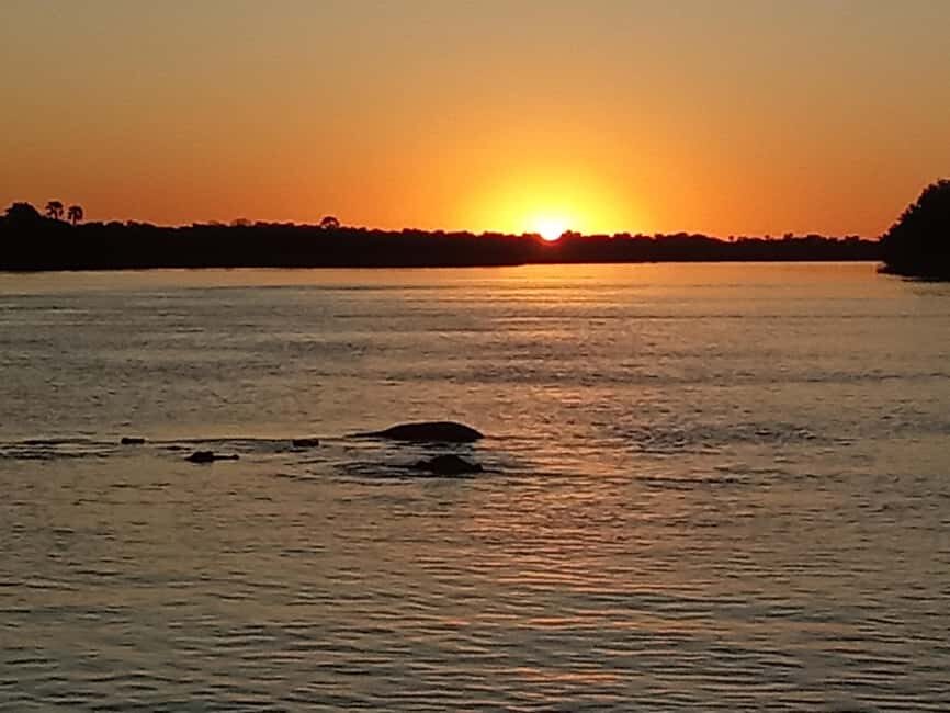 Zambezi Sunset Boat Cruise - Why You Might Love This Experience