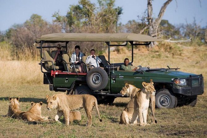 Zambezi Sunset Cruise + Game Drive Safari with hotel Pick Up - Analyzing the Value