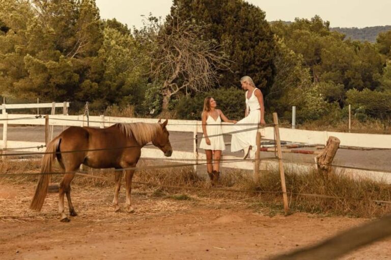 Zambia: Half-Day Horse Riding Safari + Lunch - Who Will Enjoy This Tour?