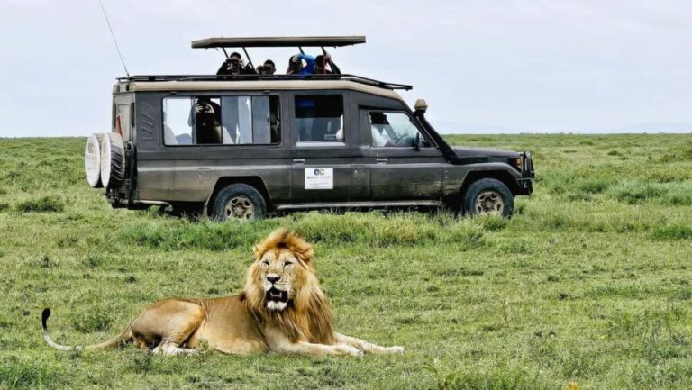 Zanzibar: 2-Day Private Magical Ngorongoro Crater Safari - What You Can Expect from Your Safari Experience