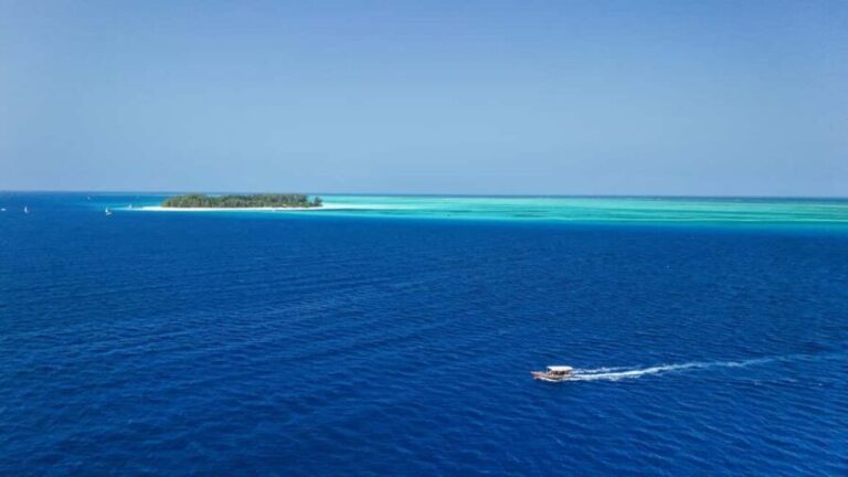 Zanzibar 3 Days Scuba Diving six dive: blue trip experience - The Sum Up: Is This the Right Dive Trip for You?