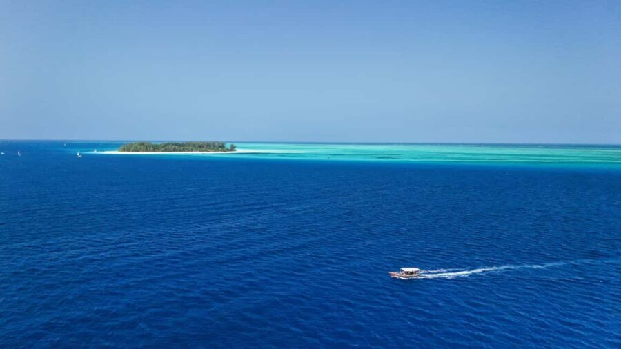 Zanzibar 3 Days Scuba Diving six dive: blue trip experience - The Sum Up: Is This the Right Dive Trip for You?