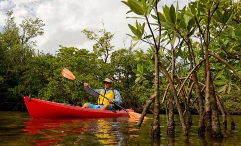 Zanzibar: 3-hour Kayak Tour through the Mangrove Forest - Practical Details and Tips