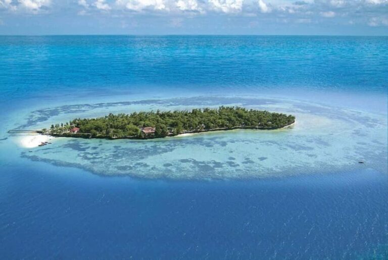 Zanzibar: 4-Day Spice Tour, Jozani Forest, & Prison Island - Analyzing the Tour’s Value