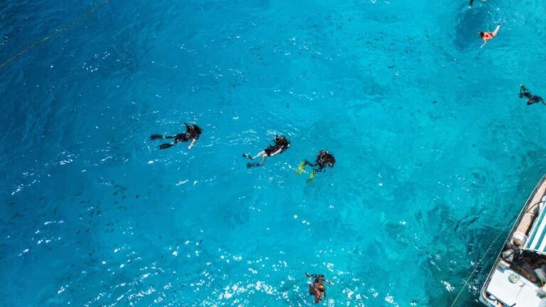 Zanzibar 5 Days Scuba Diving ten dive: blue trip experience - Key Points