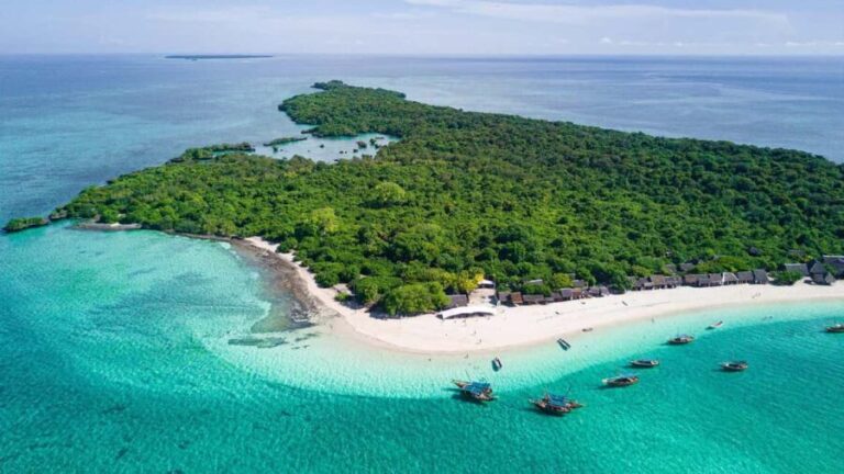 ZANZIBAR: Amazing Full day Private Blue safai with BBQ lunch - Who Would Love This Tour?