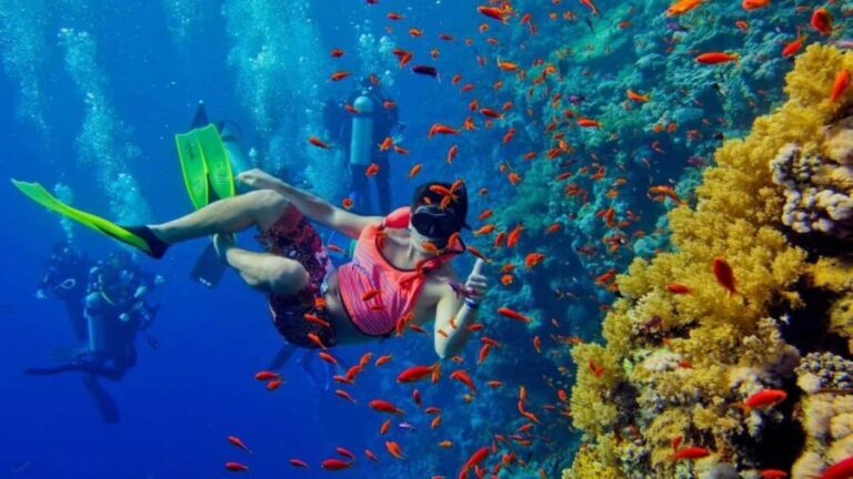 ZANZIBAR: Amazing natural lagoon and Starfish tour - Who Will Love This Tour?