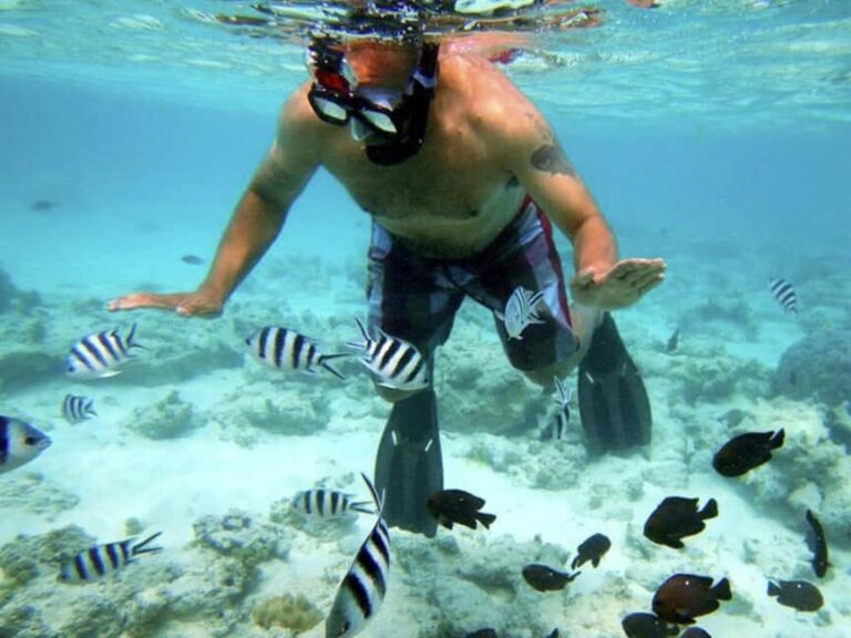 Zanzibar Bawe Island Snorkeling Day Trip with Lunch - Who Is This Tour Best For?
