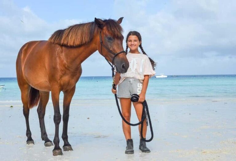 Zanzibar: Beach Horseback Ride and Swim with the Horse - The Coastal Scenery and Beach Experience