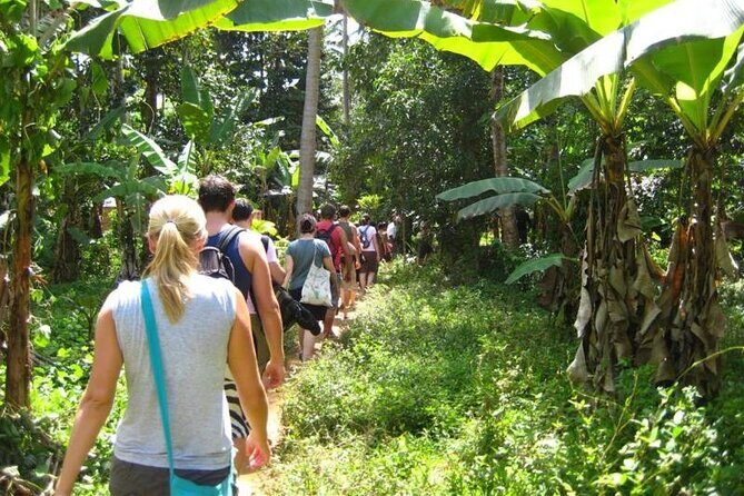 Zanzibar Cooking Class & Spice Tour - Why You Should Consider This Tour