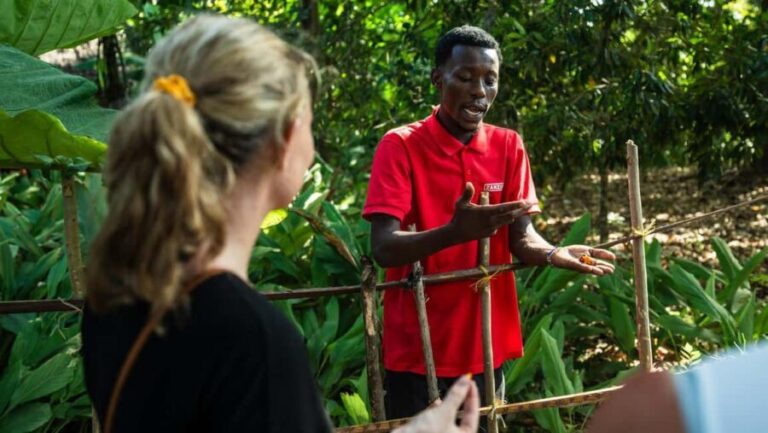 Zanzibar: Day Mnemba Island,Spice farm tour, Jozani,The Rock - Practical Tips for Making the Most of Your Day