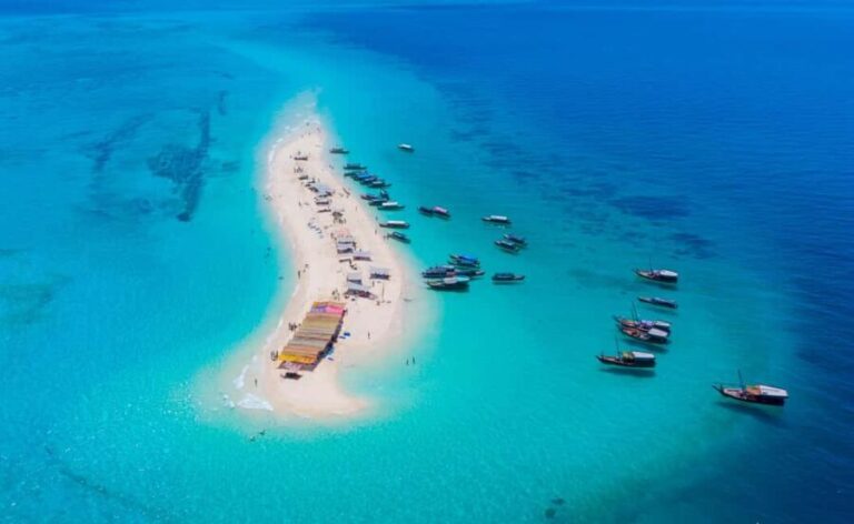 Zanzibar: Day Prison Island,Nakupenda Sandbank Tour,transfer - What Makes This Tour Stand Out?