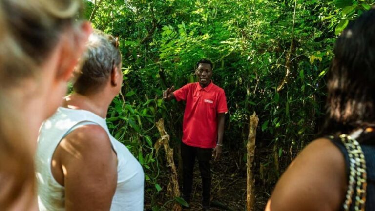 Zanzibar: Day Spice Farm,Reef and Beach Submarine Tour - Practicalities and Value