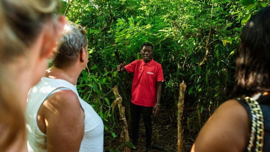 Zanzibar: Day Spice Farm,Reef and Beach Submarine Tour - Practicalities and Value