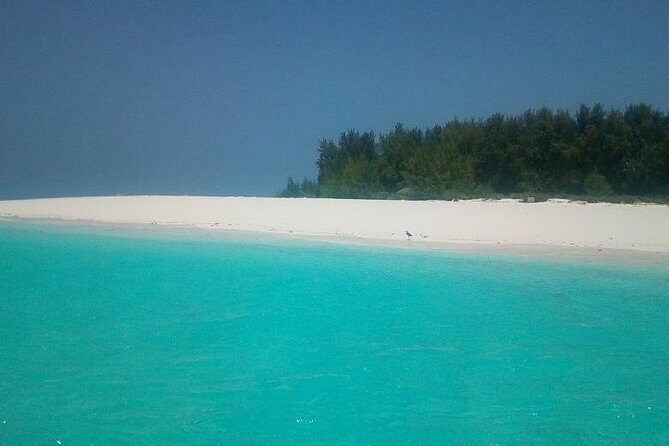 Zanzibar Deep Sea Fishing & Local fishing. - What to Expect on This Zanzibar Fishing Adventure