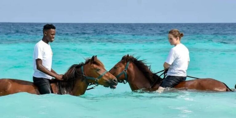 Zanzibar : Discover the Beauty of Horseback Riding - What’s Included and What’s Not