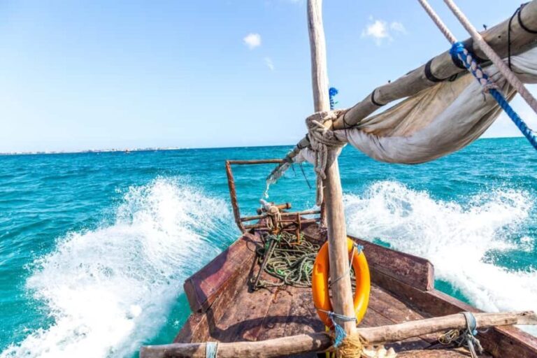 Zanzibar Dolphin tour & Snorkeling at Mnemba reef - Why This Tour Is a Great Investment