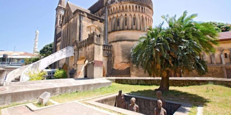Zanzibar: Dolphin tour with Snorkeling & Old Town Tour - Key Points