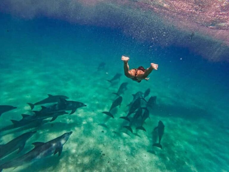 ZANZIBAR DOLPHIN TRIP - Breaking Down the Itinerary
