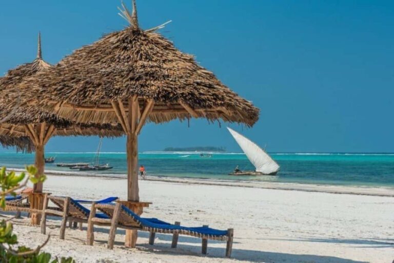 Zanzibar: Dolphin Watching and Snorkeling Tour - Why This Tour Offers Good Value