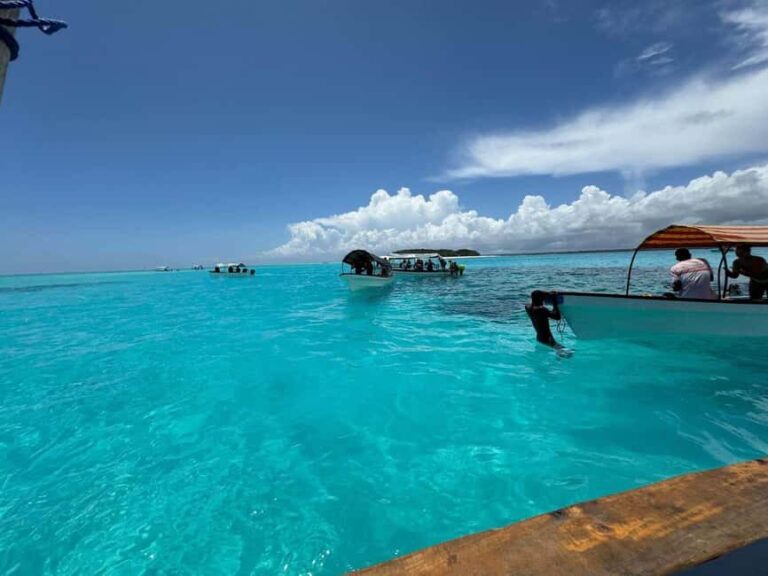 Zanzibar: Dolphins tour, Spice farm & Prison island Day trip - The Practical Details