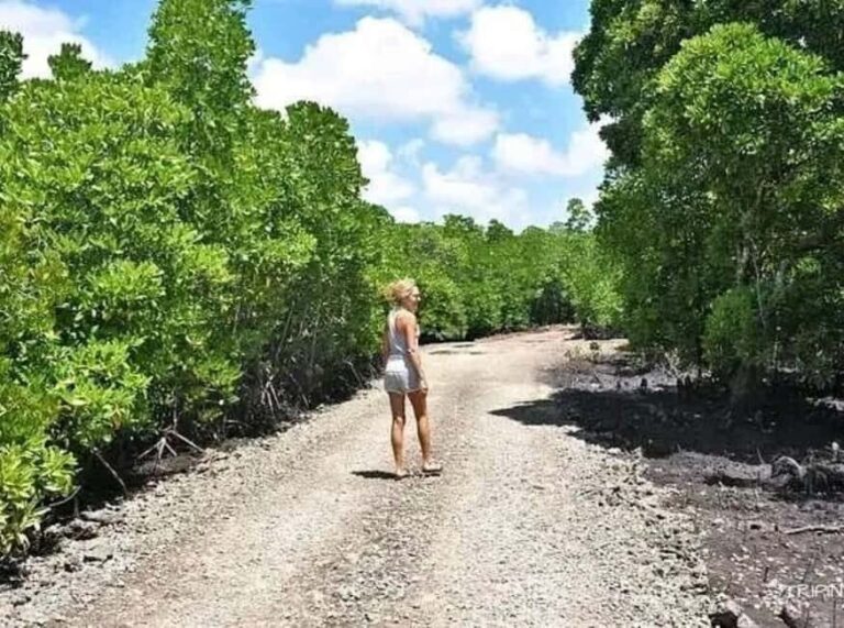 Zanzibar: Flower Garden & Mangroves Kayaking Tour at Uzi. - Who Should Consider This Tour?