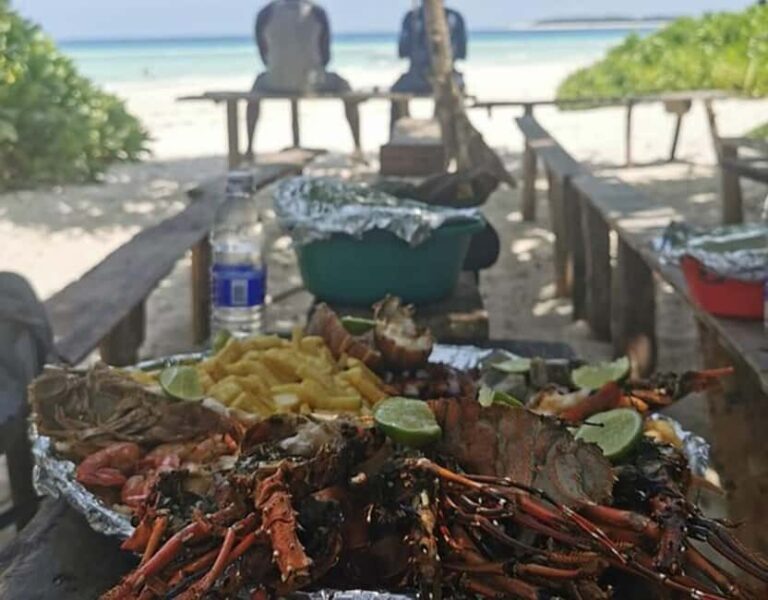 Zanzibar: Full day Kizimkazi Dolphin Tour and Pungume Island - Getting to Know the Tour: Itinerary and Highlights