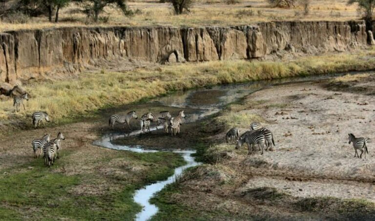 Zanzibar: Group Safari to Tarangire & Ngorongoro Crater - What Makes This Tour Stand Out?